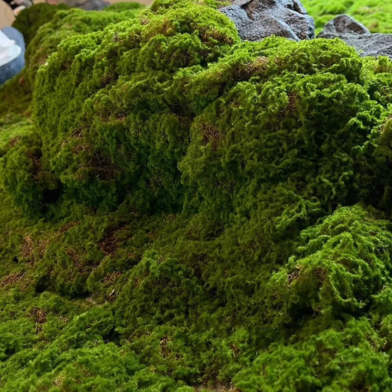 Simulation Artificial Moss False Grass Carpet, Bionic Lawn Paving Accessory, DIY Micro Landscape Decor for Bonsai Indoor Outdoor