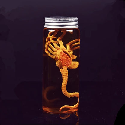 Alien Jar Xenomorph Specimen Facehugger Embryo Jar Movie Prop Replica