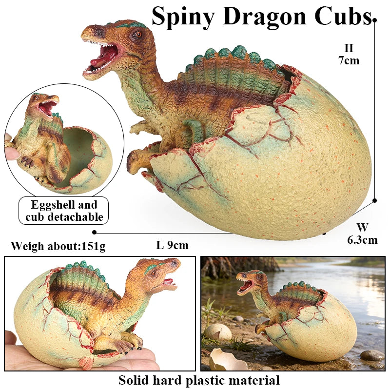 Oenux Classic Dinosaur Cubs T-Rex Saichania Spinosaurus Velociraptor  Pterosaur Cracked Dinosaur Egg Model Collection Kid Toy