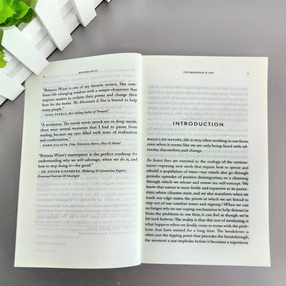 The Mountain Is You English Book Self Transformation Psychology Self Help Reading Book Inspirational Self Growth Novel