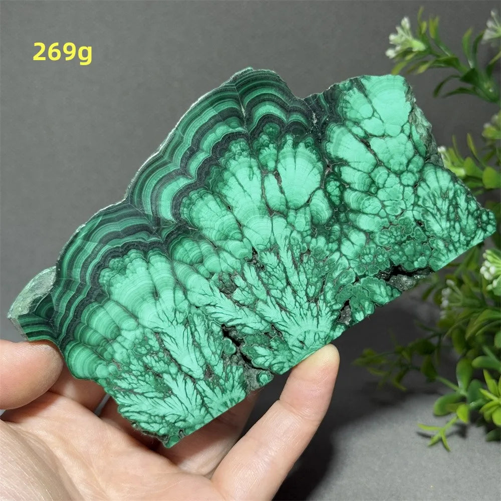 Natural High-Quality And Beautiful Malachite Slate Mineral Raw Stone Therapy Meditation Prayer Energy Home Decoration+Bracket