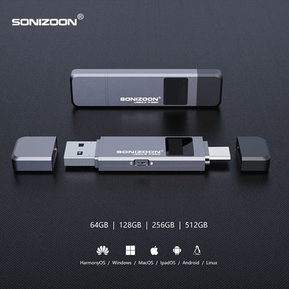 Sonizoon Fingerprint Encryption Portable SSD512/256GBWrite Protection Function Solid State USB Flash Drive TPYEC PenDrive USB3.2