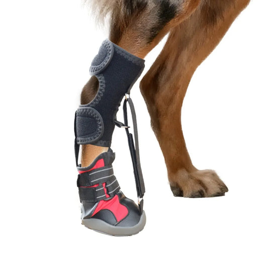 With Reel Corrective Dog Shoes Strap-On Breathable No Knuckling Boot Brace Wear-resistant Improving Walking Gait Dog Footwear