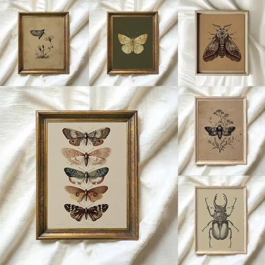 Vintage Insects Moth,Butterfly,Beetle Botanical Sketch Poster HD Prints Canvas Painting Wall Art Pictures Home Decor