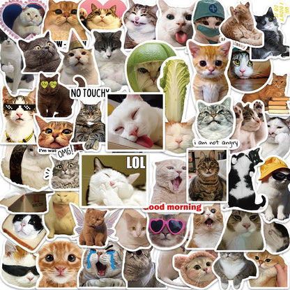 50PCS Cute Cat Stickers For Skateboard Scrapbook Water Bottle Laptop Luggage Kids Toys Vinyl Waterproof Funny Cats Decals