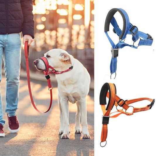Traction Dog Mouth Cover Training with Nose Ring for Riot Control Adjustable Traction Rope Anti Bite Nose Hair Mask Pet Leash
