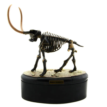 Dinosaur Skeleton Fossil ABS Assembly Dinosaurs Toys Model Building Kits Collection Jurassi Park T-rex Skull Decoration Crafts