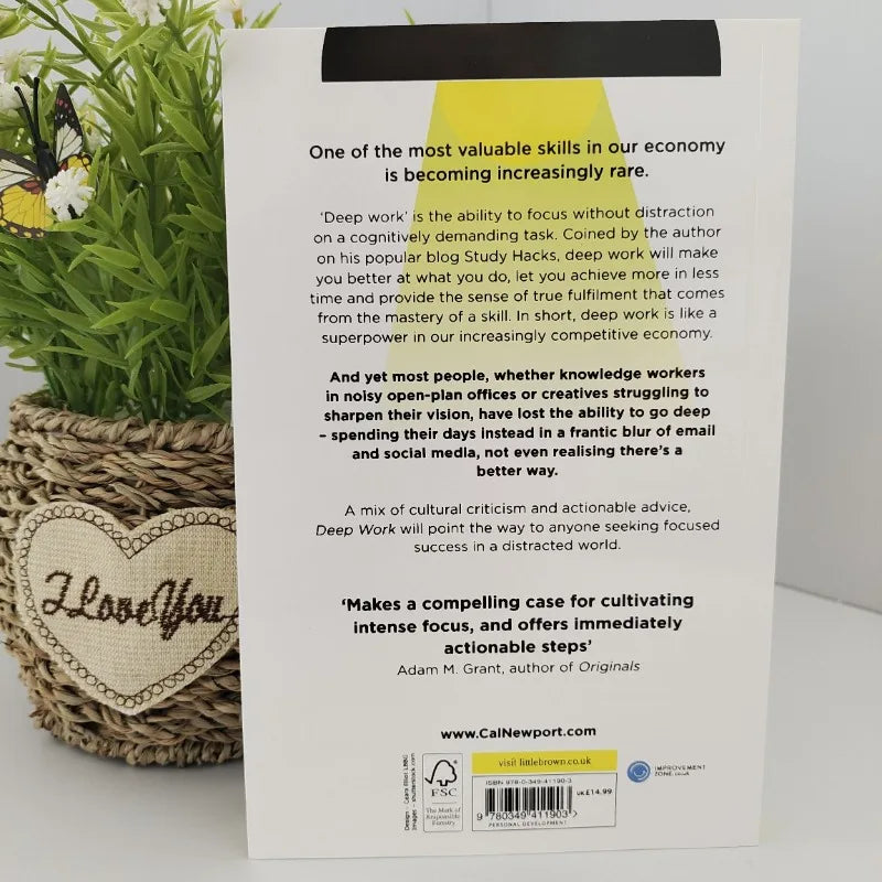 How To Use Every Bit of Brain Power Effectively in Deep Work and It's Not Your Fault. English Books Books Philosophy Libreria