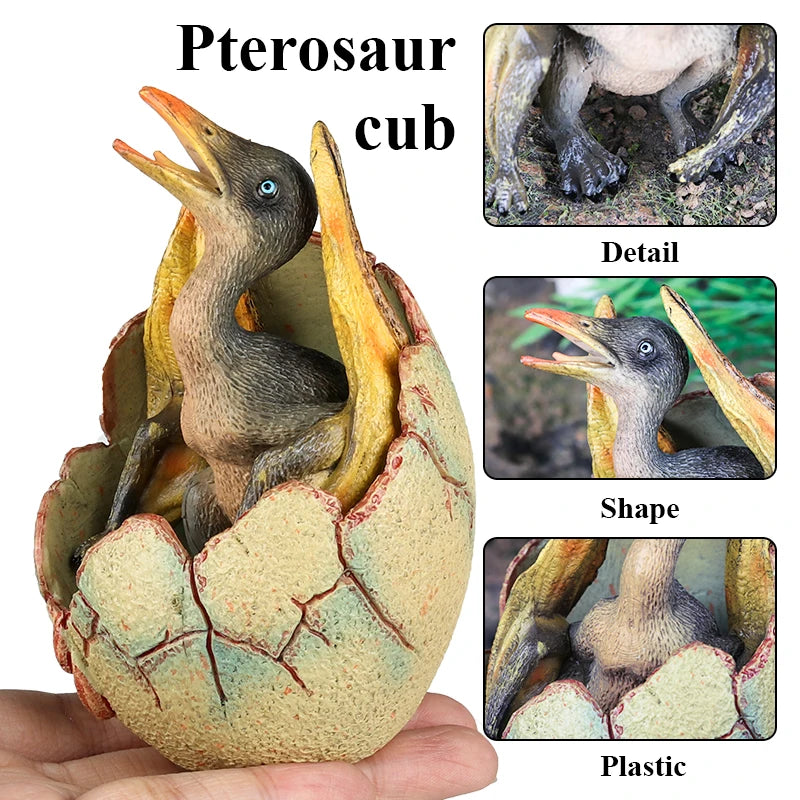 Oenux Classic Dinosaur Cubs T-Rex Saichania Spinosaurus Velociraptor  Pterosaur Cracked Dinosaur Egg Model Collection Kid Toy