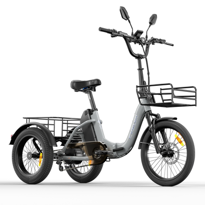 Electric Tricycle 750W Motor 48V 20AH Remover Lithium Battery Foldable 3 Wheel Electric Bike 16 Inch Fat Tire 100km Ebike
