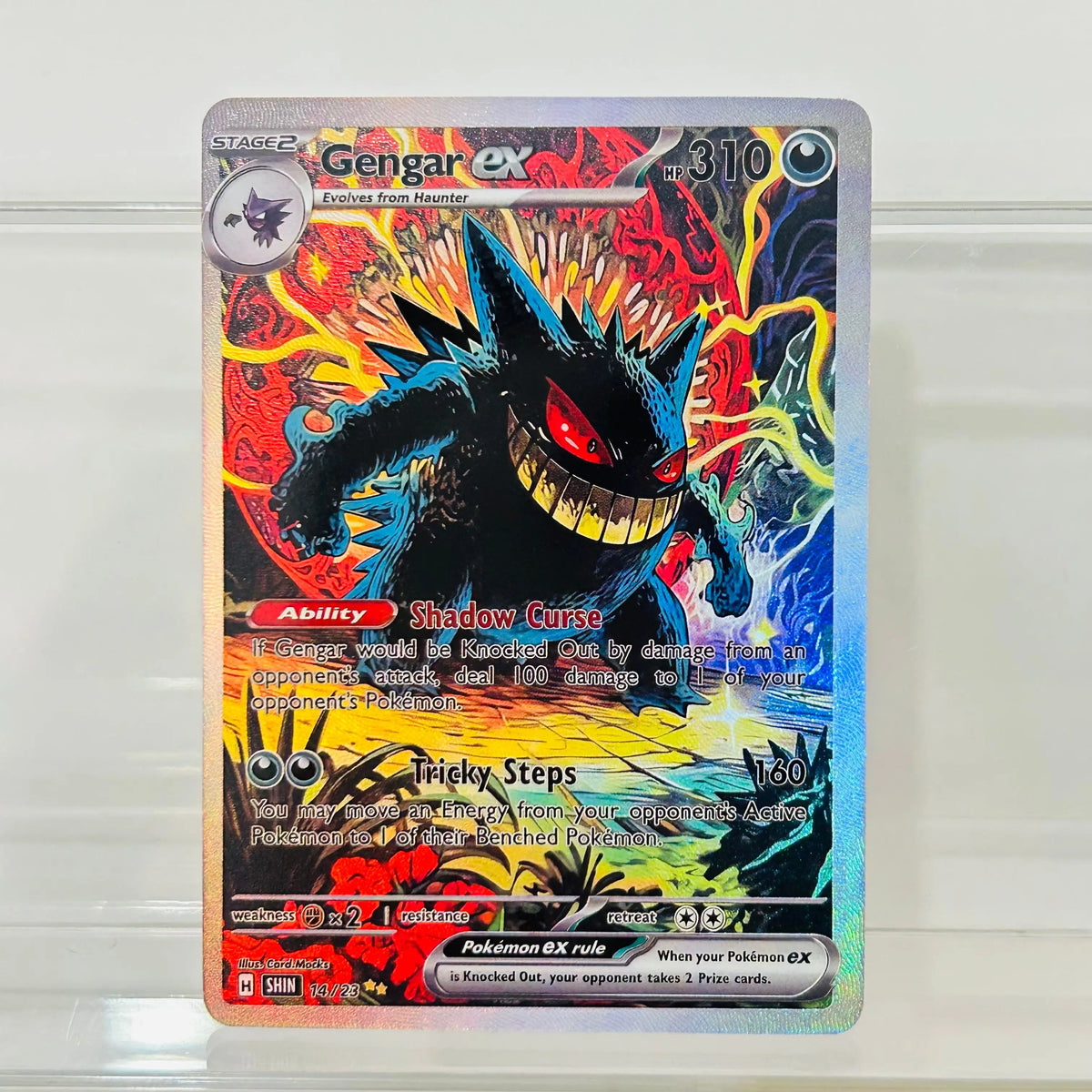 Shining Charizard 17/23 EN Version DIY Holographic Foil Texture Card, Perfect Condition Premium Anime Collection Card