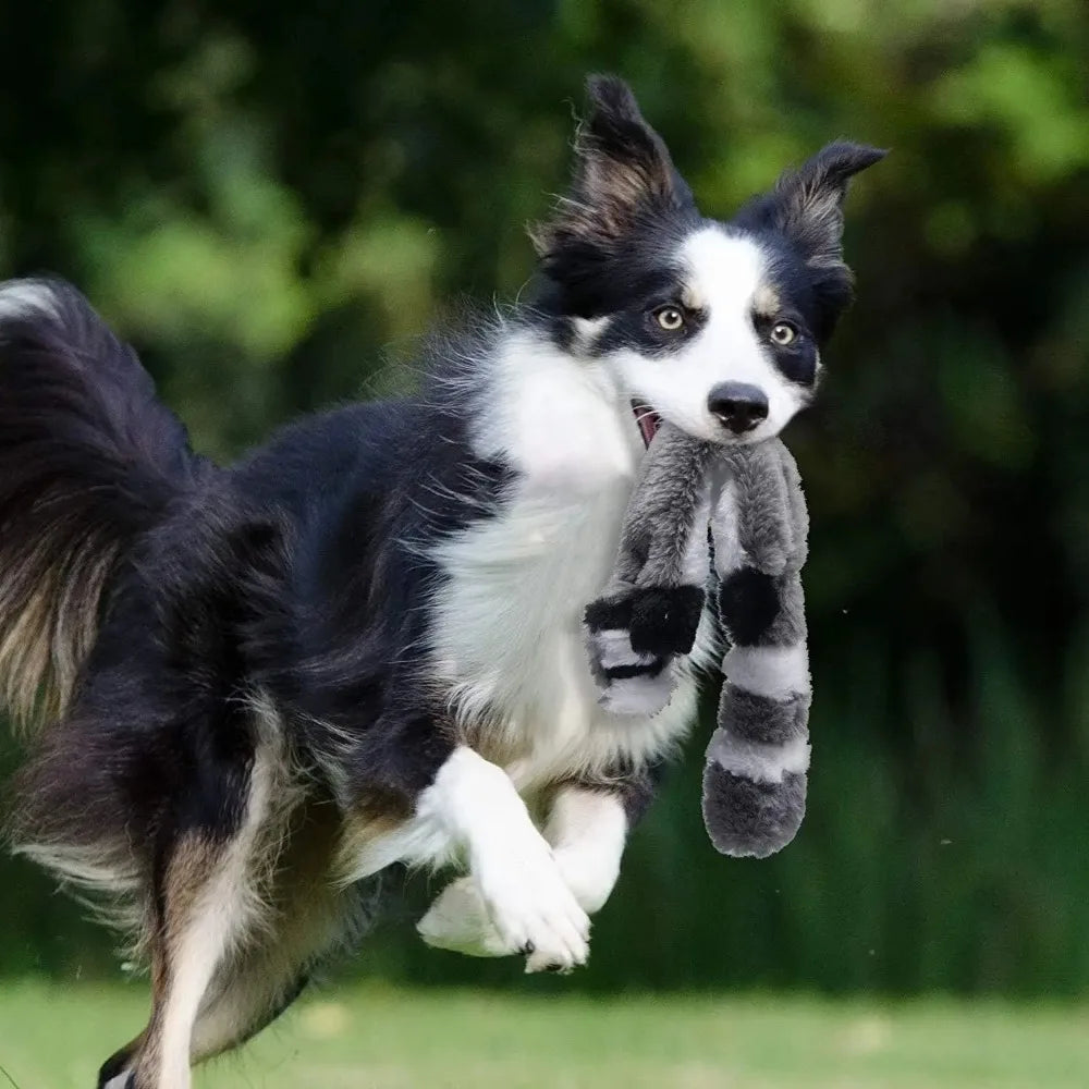 Plush Dog Toys Squirrel Raccoon Fox 18 Inch Stuffing Free Squeaky for Small  Medium Dogs No Stuffing with Squeakers Dog Chew Toy