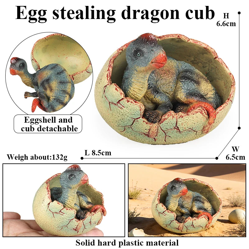 Oenux Classic Dinosaur Cubs T-Rex Saichania Spinosaurus Velociraptor  Pterosaur Cracked Dinosaur Egg Model Collection Kid Toy