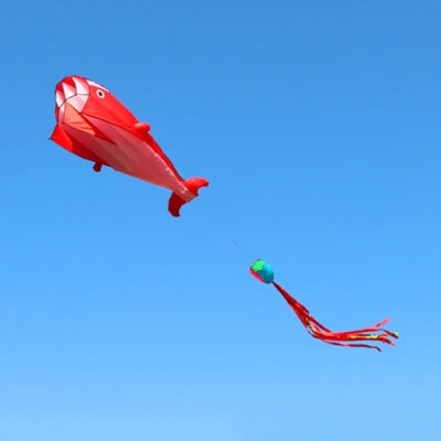 Dolphin kite flying nylon soft kite line animal kites inflatable kite reel outdoor toys Kite surfing beach kites sport parachute