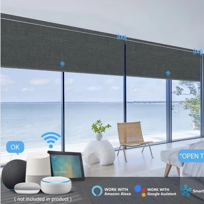 Hot Selling100% Blackout Dirt-proof Day And Night Dual Layer Blinds WiFi App Remote Control Electric Roller Blinds For Window