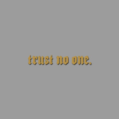 Edgy Trust No One Gothic Vinyl Car Sticker, Durable Weatherproof Quote Decal for Car Window, Fuel Tank, Door, Dark Auto Decor