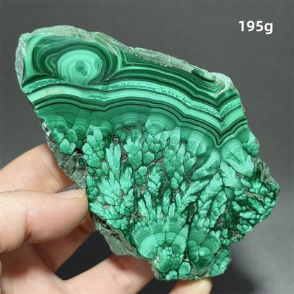 5A+ Natural Malachite Mineral Raw Stone Slice Home Office Feng Shui Decoration Therapy Spiritual Meditation Gem