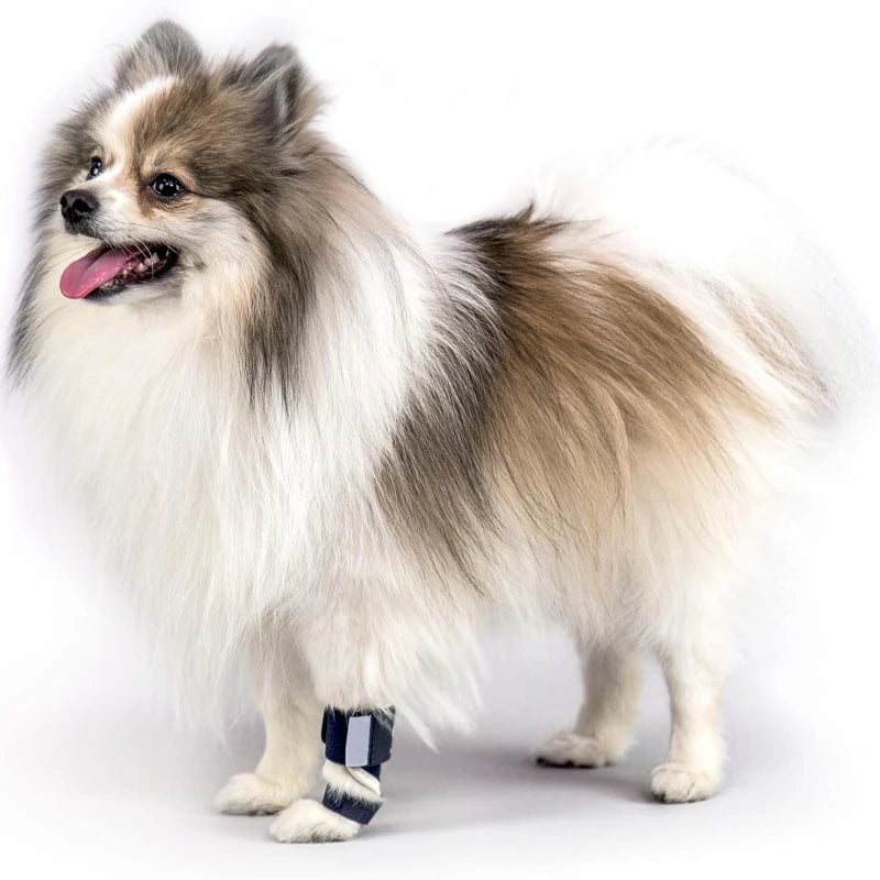 1/2pc Dog Front Leg Splint Carpal Hyperextension Dog Brace Supports Fractures and Sprains Front Leg Support Dog Ankle