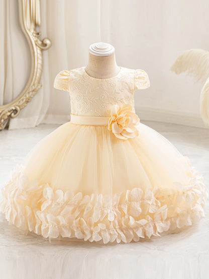 Girls' performance dress three-dimensional lace princess dress Festival fluffy skirt gauze dress dress dress dress flower girl d
