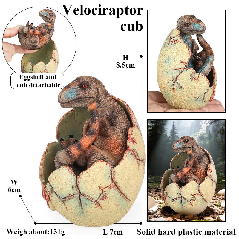 Oenux Classic Dinosaur Cubs T-Rex Saichania Spinosaurus Velociraptor  Pterosaur Cracked Dinosaur Egg Model Collection Kid Toy