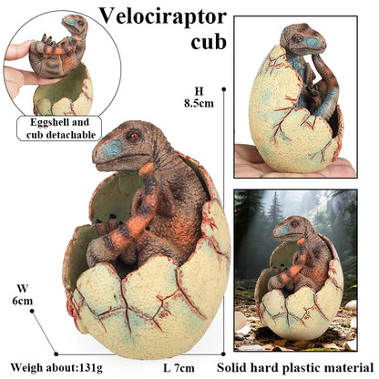 Oenux Classic Dinosaur Cubs T-Rex Saichania Spinosaurus Velociraptor  Pterosaur Cracked Dinosaur Egg Model Collection Kid Toy