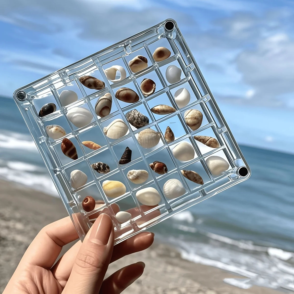 36 Grids Acrylic Seashell Display Box with Magnets Durable Starfishs Trinket Storage Case for Bead Nail Jewelry