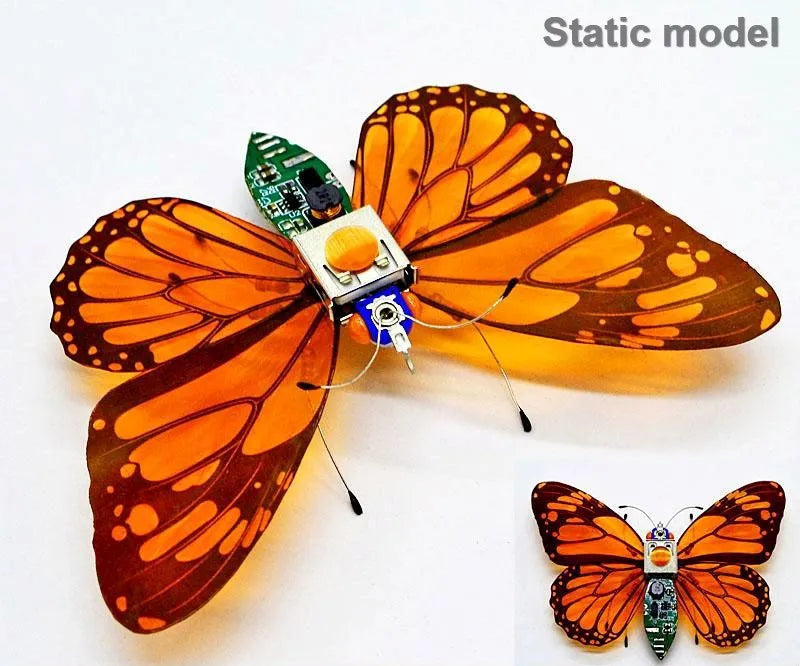 STEAM DIY Robotic Insects Science Invention Electronic Animal for School Competition Non-soldered DIY Kit Stem Toys Robot Animal