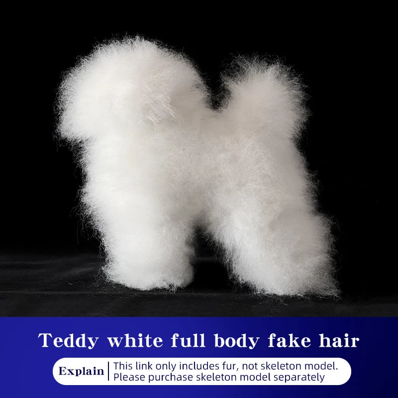 Teddy Pet Simulation Hair Beauty Fake Beautician Practicing Dog Standard Teddy Full Body Fake Head, Skeleton Model, Pet Groomer