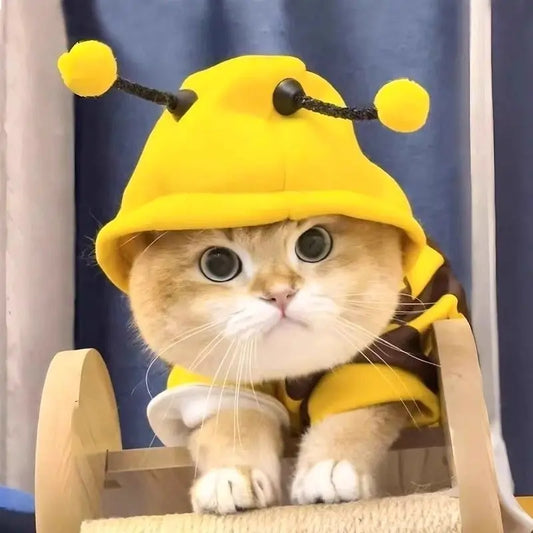Funny Cat Clothes Anti-Slip Small Bee Beagle Dog Cute Blue Cat Spring and Autumn New Pet Hoodie