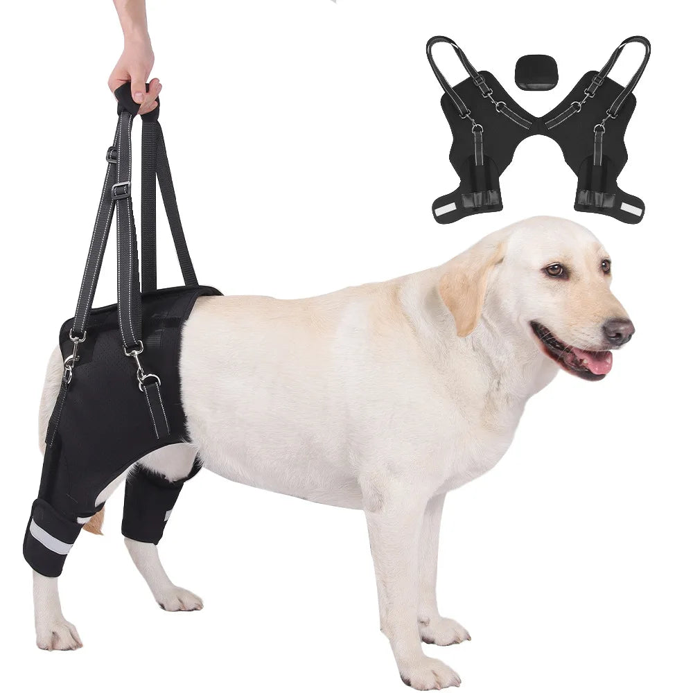 Dog Hind Leg Support Harness for Senior Disabled Dogs, Rehabilitation Mobility Lifting Aid, Adjustable Walking Assistance Leash