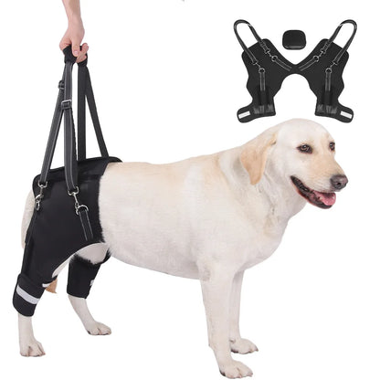 Dog Hind Leg Support Harness for Senior Disabled Dogs, Rehabilitation Mobility Lifting Aid, Adjustable Walking Assistance Leash