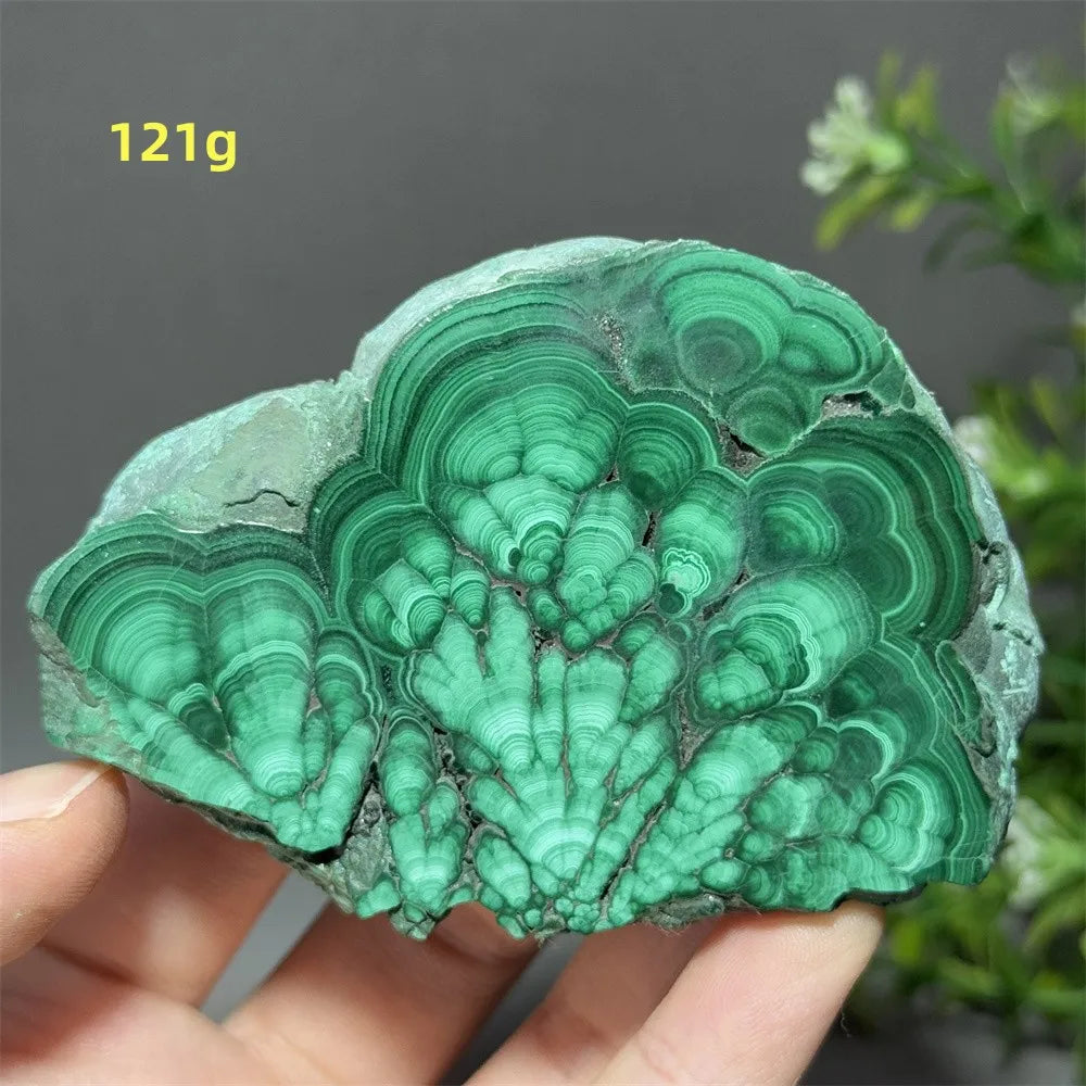 Natural High-Quality And Beautiful Malachite Slate Mineral Raw Stone Therapy Meditation Prayer Energy Home Decoration+Bracket