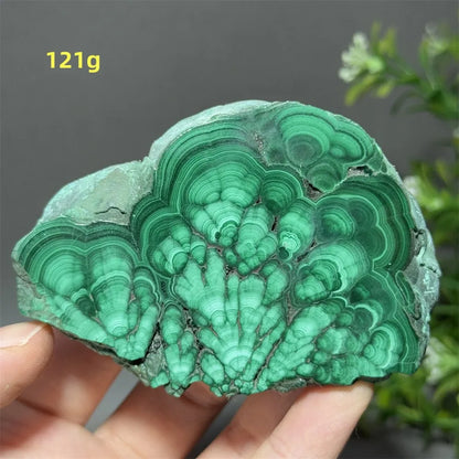 Natural High-Quality And Beautiful Malachite Slate Mineral Raw Stone Therapy Meditation Prayer Energy Home Decoration+Bracket
