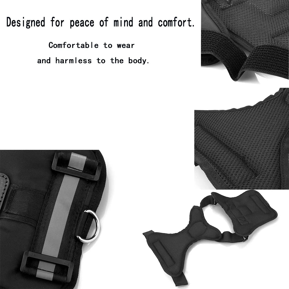 Pet Camera Harness Mount for Gopro Hero DJI OSMO Insta360 for Cats & Small Medium Large Dogs Adjustable Chest Back Holder