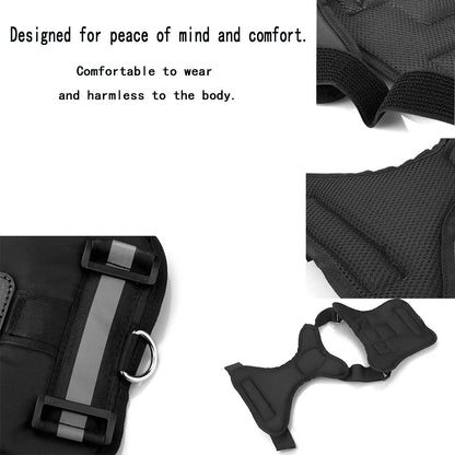 Pet Camera Harness Mount for Gopro Hero DJI OSMO Insta360 for Cats & Small Medium Large Dogs Adjustable Chest Back Holder