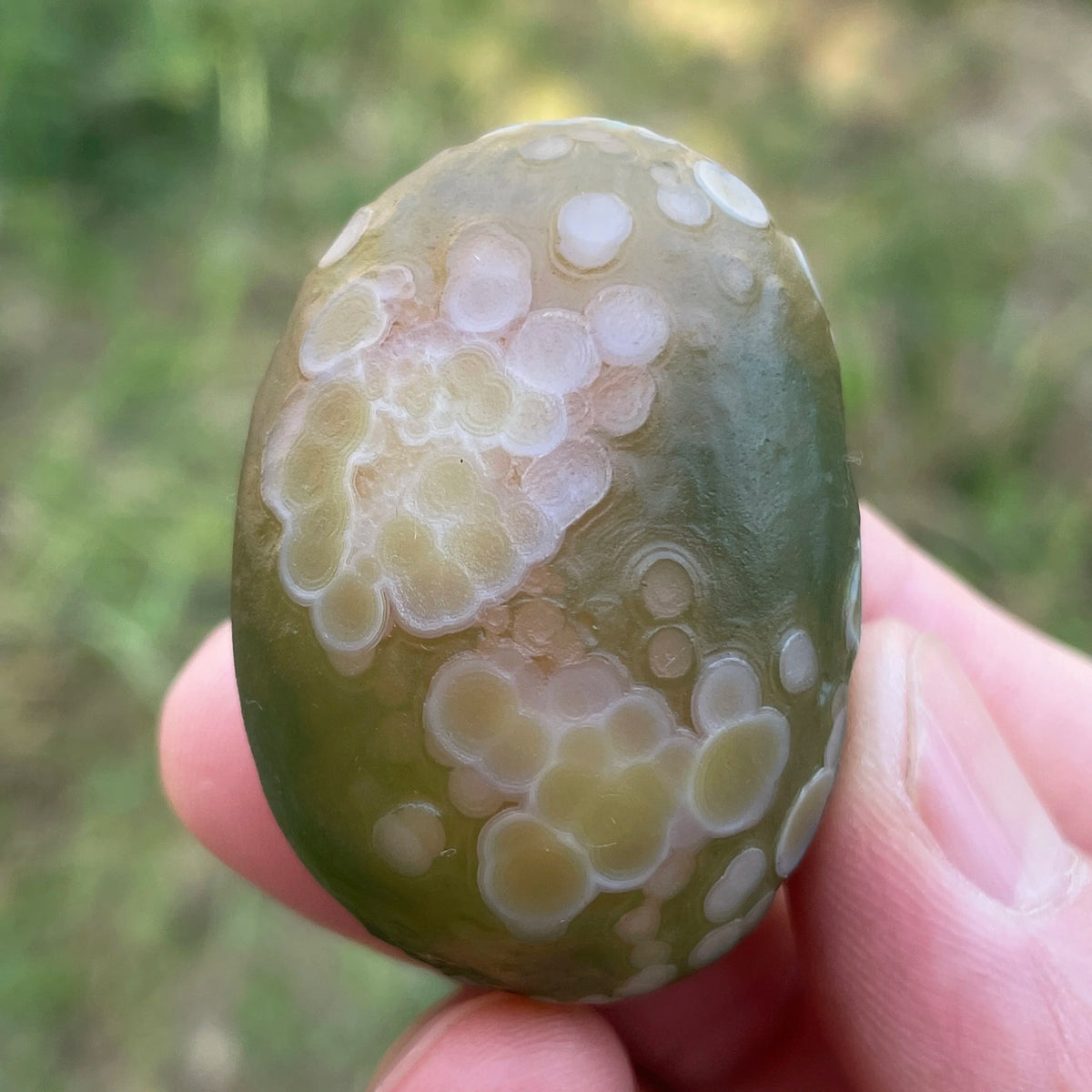 Natural Sardonyx Black Agate Alxa Gobi Eye Rock Mineral Specimen Energy Crystal Chakra Reiki Healing Stone Garden Decor DD1-8