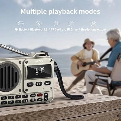 MLOVE BV800P Portable Bluetooth Speaker with FM Radio And MP3 Player Features USB TF Card AUX Antenna All-in-One Audio