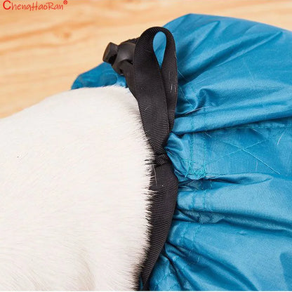 1Pc Pet Drying Bag Hair Dryer For Cats And Dogs Specialized For Bathing Quick Drying Hair Dryer  Hair Dryer Box Hair Dryer Bag