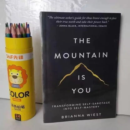The Mountain Is You: Transforming Self-Sabotage Into Self-mastery English Books Birthday Gifts books book
