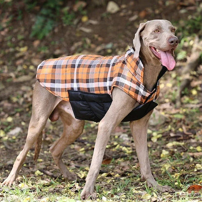 NONOR Winter Dog Jacket Waterproof Cozy Dog Clothes for Medium Large Dogs Warm Dog Coat French Bulldog Labrador Costume