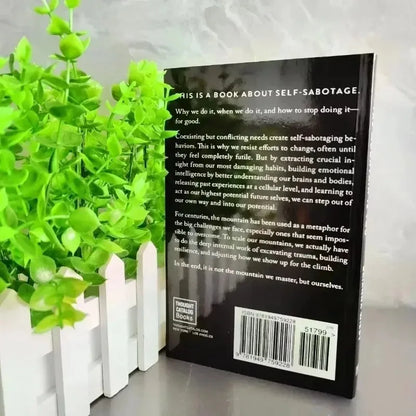 The Mountain Is You: Transforming Self-Sabotage Into Self-mastery English Books Birthday Gifts books book
