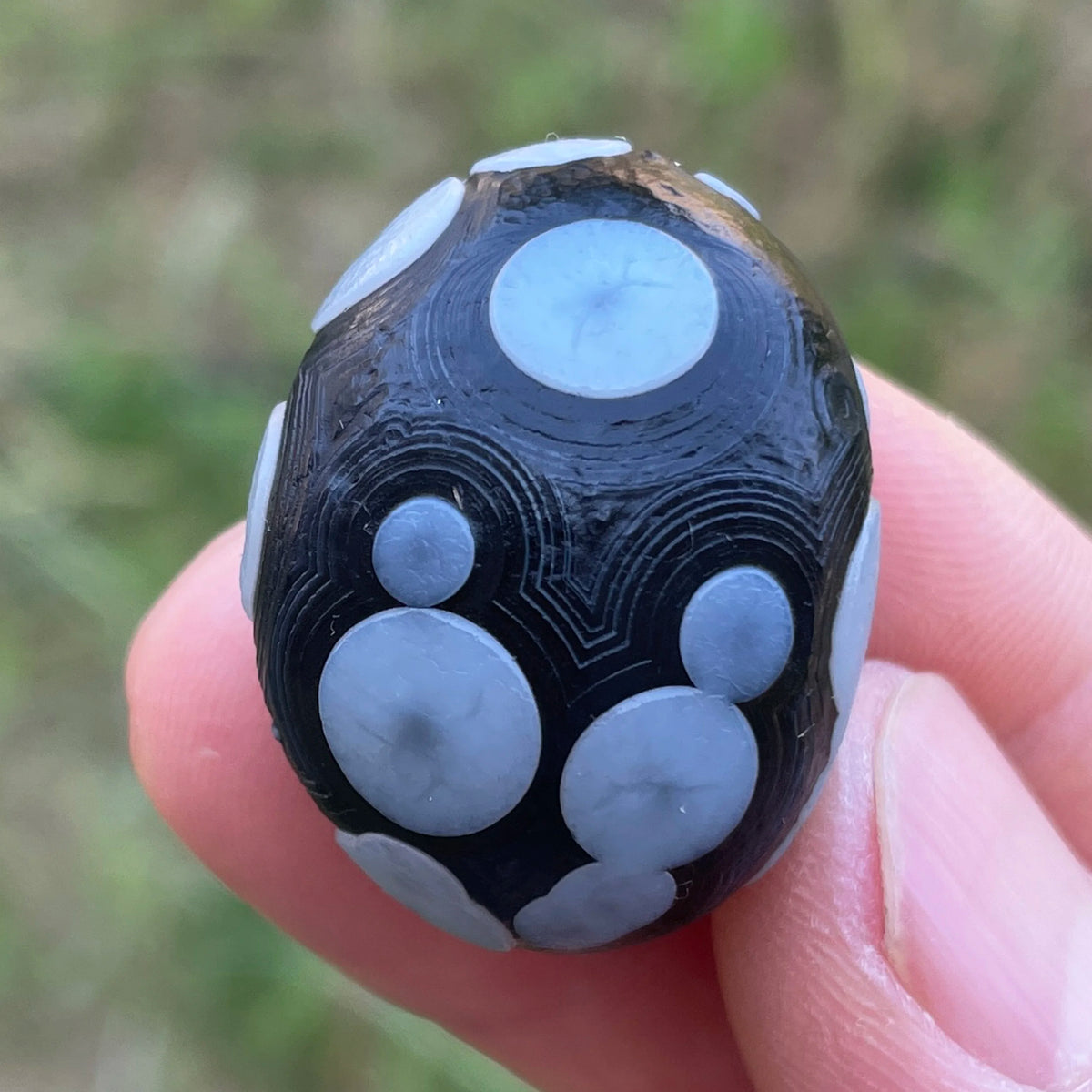 Natural Sardonyx Black Agate Alxa Gobi Eye Rock Mineral Specimen Energy Crystal Chakra Reiki Healing Stone Garden Decor DD1-8
