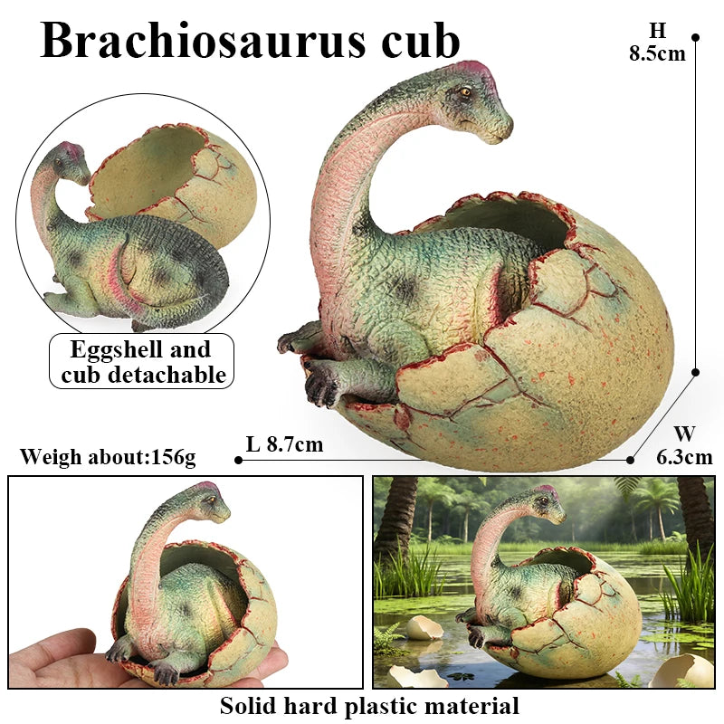 Oenux Classic Dinosaur Cubs T-Rex Saichania Spinosaurus Velociraptor  Pterosaur Cracked Dinosaur Egg Model Collection Kid Toy
