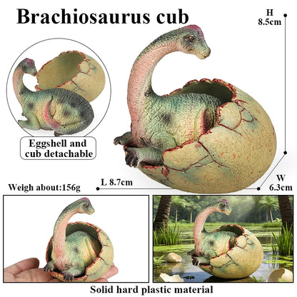Oenux Classic Dinosaur Cubs T-Rex Saichania Spinosaurus Velociraptor  Pterosaur Cracked Dinosaur Egg Model Collection Kid Toy