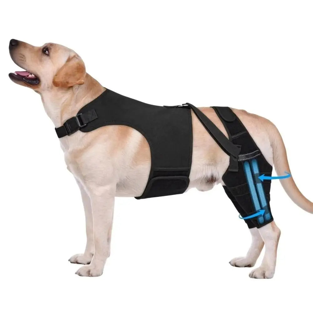 Adjustable Dog Knee Brace Anti-Licking Comfortable Fit Elbow Protection Cover Black with 4 Stabilizers Dog Rear Leg Brace