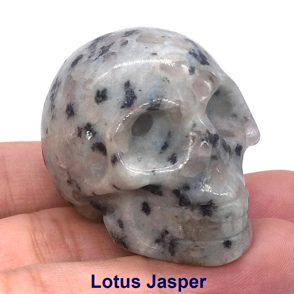 Wholesale 1.5" Natural Stones Crystal Skull Statue Amethyst Quartz Tiger Eye Carved Ore Mineral Crystals Figurine Home Decor