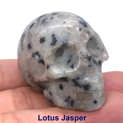 Wholesale 1.5" Natural Stones Crystal Skull Statue Amethyst Quartz Tiger Eye Carved Ore Mineral Crystals Figurine Home Decor