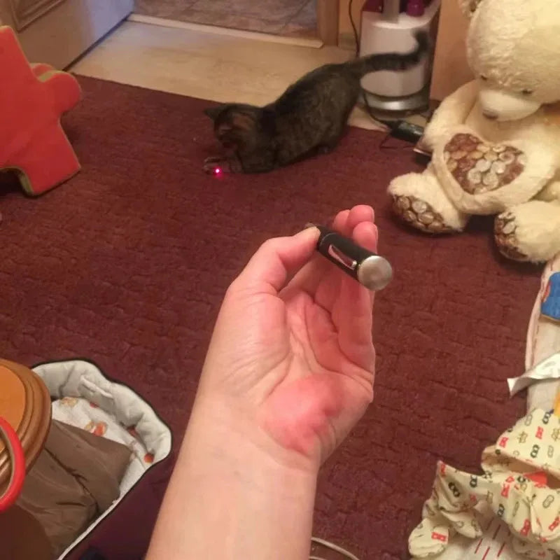 Pet Laser Pointer & LED Flashlight - Interactive Cat Scratching Toy, Christmas Gift for Cats/Kittens