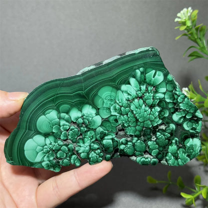 Natural High-Quality And Beautiful Malachite Slate Mineral Raw Stone Therapy Meditation Prayer Energy Home Decoration+Bracket