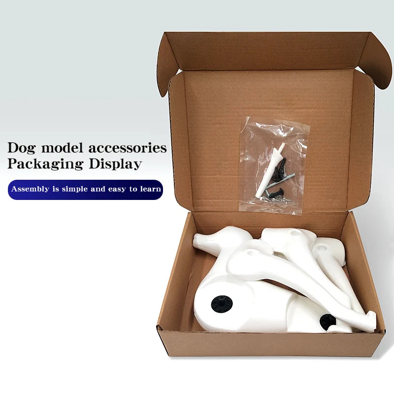 Teddy Pet Simulation Hair Beauty Fake Beautician Practicing Dog Standard Teddy Full Body Fake Head, Skeleton Model, Pet Groomer